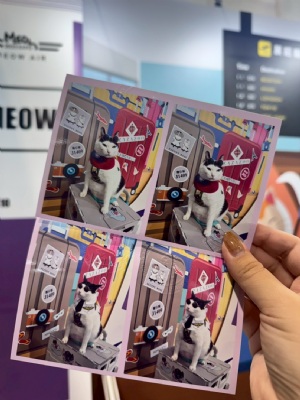 喀嚓！喵一下